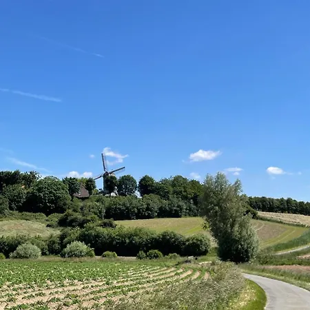 Belle Epoque Bailleul (Nord)